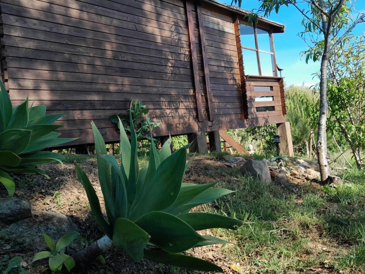 Casa Do Sobreiro 2 Bed & Breakfast Serra das Alhadas Exterior photo